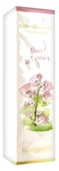 Claude Galien Fleur de Ceriser Eau Parfumée 100 ml Claude Galien Fleur de Ceriser Eau Parfumée 100 ml