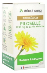 Arkopharma Arkogélules Piloselle 45 Gélules Arkopharma Arkogélules Piloselle 45 Gélules