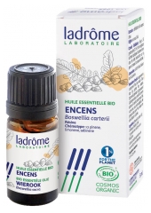 Ladrôme Organic Essential Oil Incense (Boswellia Carterii) 5ml Ladrôme Organic Essential Oil Incense (Boswellia Carterii) 5ml