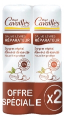 Rogé Cavaillès Nutrissance Reparierender Lippenbalsam 2 x 5,5 g Charge Rogé Cavaillès Nutrissance Reparierender Lippenbalsam 2 x 5,5 g Charge