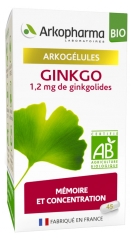 Arkopharma Arkogélules Ginkgo Bio 45 Gélules Arkopharma Arkogélules Ginkgo Bio 45 Gélules