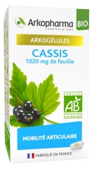 Arkopharma Arkogélules Cassis Bio 45 Gélules Arkopharma Arkogélules Cassis Bio 45 Gélules