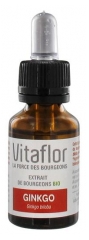 Vitaflor Extrait de Bourgeons Ginkgo Bio 15 ml Vitaflor Extrait de Bourgeons Ginkgo Bio 15 ml