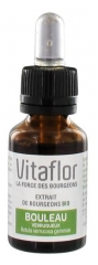 Vitaflor Bio Knospen-Extrakt Birke 15 ml Vitaflor Bio Knospen-Extrakt Birke 15 ml