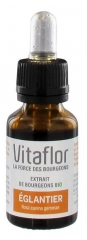 Vitaflor Extrait de Bourgeons Églantier Bio 15 ml Vitaflor Extrait de Bourgeons Églantier Bio 15 ml