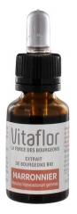Vitaflor Extrait de Bourgeons Marronnier Bio 15 ml Vitaflor Extrait de Bourgeons Marronnier Bio 15 ml