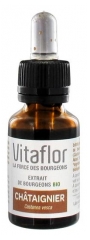 Vitaflor Organic Buds Extract Sweet Chestnut 15ml Vitaflor Organic Buds Extract Sweet Chestnut 15ml