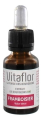 Vitaflor Organic Buds Extract Raspberry 15ml Vitaflor Organic Buds Extract Raspberry 15ml