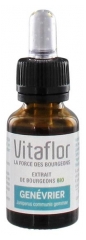Vitaflor Extrait de Bourgeons Genévrier Bio 15 ml Vitaflor Extrait de Bourgeons Genévrier Bio 15 ml