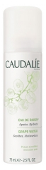 Caudalie Organic Grape Water 75ml Caudalie Organic Grape Water 75ml