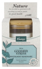 Kneipp Perfumed Candle Goodbye Stress Watermint Rosemary