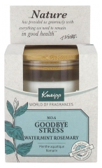Kneipp Vela Perfumada Goodbye Estrés Menta Acuática Romero Kneipp Vela Perfumada Goodbye Estrés Menta Acuática Romero