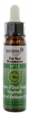 Ladrôme Bachblütenelexier Blütenessenz Nr. 12 : Dolden-Milchstern 10 ml Ladrôme Bachblütenelexier Blütenessenz Nr. 12 : Dolden-Milchstern 10 ml