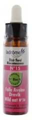 Ladrôme Flowers of Bach Floral Elixir N°15: Wild Oat Organic 10ml Ladrôme Flowers of Bach Floral Elixir N°15: Wild Oat Organic 10ml