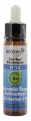 Ladrôme Bach Flowers Floral Elixir N°24 : Red Chestnut Organic 10ml