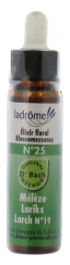 Ladrôme Flowers of Bach Floral Elixir N°25: Larch Organic 10ml Ladrôme Flowers of Bach Floral Elixir N°25: Larch Organic 10ml