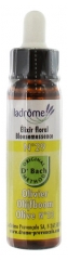 Ladrôme Bachblütenelexier Blütenessenz Nr. 29 : Olivenbaum 10 ml Ladrôme Bachblütenelexier Blütenessenz Nr. 29 : Olivenbaum 10 ml