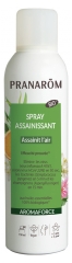 Pranarôm Aromaforce Organic Sanitizing Spray 150ml Pranarôm Aromaforce Organic Sanitizing Spray 150ml