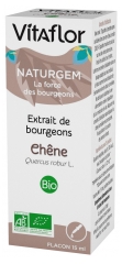 Vitaflor Extrait de Bourgeons Chêne Bio 15 ml Vitaflor Extrait de Bourgeons Chêne Bio 15 ml