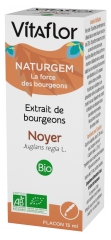 Vitaflor Naturgem Extrait de Bourgeons Noyer Bio 15 ml Vitaflor Naturgem Extrait de Bourgeons Noyer Bio 15 ml