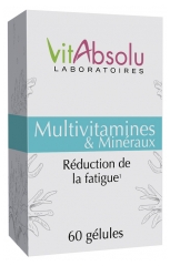 VitAbsolu Multivitamins and Minerals 60 Capsules VitAbsolu Multivitamins and Minerals 60 Capsules
