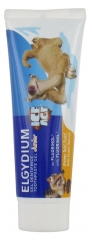 Elgydium Toothpaste Gel Junior Ice Age 7/12 Years Old Tutti Frutti Aroma 50ml Elgydium Toothpaste Gel Junior Ice Age 7/12 Years Old Tutti Frutti Aroma 50ml