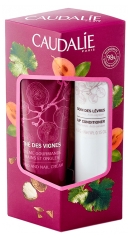 Caudalie Dúo Crema de Manos y Uñas Thé des Vignes + Cuidado Labial 4.5 g Caudalie Dúo Crema de Manos y Uñas Thé des Vignes + Cuidado Labial 4.5 g