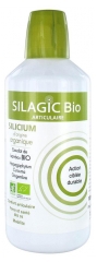 Silagic Silicium Organique Articulaire Bio 1 L Silagic Silicium Organique Articulaire Bio 1 L