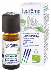 Ladrôme Organic Essential Oil Ravintsara (Cinnamomum camphora ct 1.8-cineol) 10ml Ladrôme Organic Essential Oil Ravintsara (Cinnamomum camphora ct 1.8-cineol) 10ml