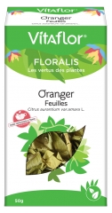 Vitaflor Orangenblätter 50 g Vitaflor Orangenblätter 50 g