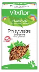 Vitaflor Scots Pine Buds 50g Vitaflor Scots Pine Buds 50g
