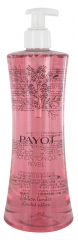 Payot Les Démaquillantes Wake-Up Toning Lotion mit Himbeerextrakt 400 ml Limited Edition Payot Les Démaquillantes Wake-Up Toning Lotion mit Himbeerextrakt 400 ml Limited Edition