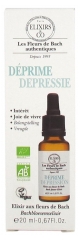 Elixirs & Co Depression 20 ml Elixirs & Co Depression 20 ml