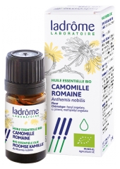 Huile Essentielle Camomille Romaine (Anthemis nobilis) Bio 5 ml Huile Essentielle Camomille Romaine (Anthemis nobilis) Bio 5 ml