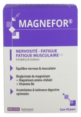 Ineldea Magnefor 90 Gélules Végétales Ineldea Magnefor 90 Gélules Végétales