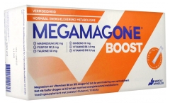 Mayoly Spindler MegamagOne Boost 10 Sticks Mayoly Spindler MegamagOne Boost 10 Sticks
