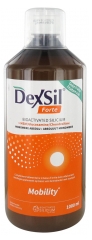 Dexsil Forte Gelenke + MSM Glukosamin Chondroitin Trinklösung 1 L Dexsil Forte Gelenke + MSM Glukosamin Chondroitin Trinklösung 1 L