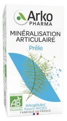 Arkopharma Arkogélules Prêle Bio 45 Gélules Arkopharma Arkogélules Prêle Bio 45 Gélules