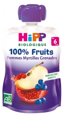 HiPP 100% Fruits Gourde Pommes Myrtilles Grenades dès 6 Mois Bio 90 g HiPP 100% Fruits Gourde Pommes Myrtilles Grenades dès 6 Mois Bio 90 g