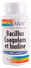 Solaray Bacillus Coagulans e Inulina 2,5 Miliardi 60 Capsule Vegetali