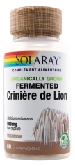 Solaray Crinière de Lion 500 mg 60 Capsules Végétales Solaray Crinière de Lion 500 mg 60 Capsules Végétales