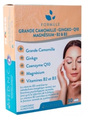 H.D.N.C Grande Camomille Ginkgo Coenzyme Q10 Magnésium Vitamines B2 et B3 30 Comprimés