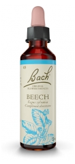 Fleurs de Bach Original Faggio 20 ml