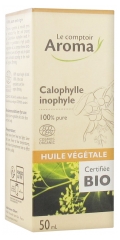 Le Comptoir Aroma Huile Végétale Calophylle Inophylle Bio 50 ml Le Comptoir Aroma Huile Végétale Calophylle Inophylle Bio 50 ml