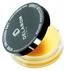 Delarom Baume Protecteur Lèvres 10 ml Delarom Baume Protecteur Lèvres 10 ml
