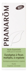 Pranarôm Huile Essentielle Eucalyptus à Fleurs Multiples à Cryptone (Eucalyptus polybractea ct criptone) Bio 10 ml