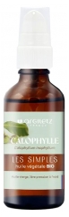 Argiletz Huile Végétale de Calophylle (Calophyllum inophyllum) Bio 50 ml Argiletz Huile Végétale de Calophylle (Calophyllum inophyllum) Bio 50 ml