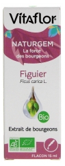 Vitaflor Naturgem Extrait de Bourgeons Figuier Bio 15 ml Vitaflor Naturgem Extrait de Bourgeons Figuier Bio 15 ml