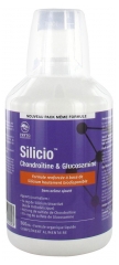 Phytoresearch Silicio Chondroïtine & Glucosamine 500 ml Phytoresearch Silicio Chondroïtine & Glucosamine 500 ml