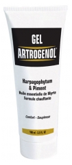 Nutri Expert Artrogenol Gel 100ml Nutri Expert Artrogenol Gel 100ml